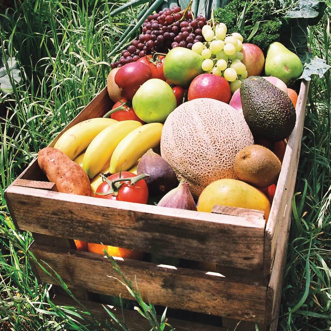Fruit Box Delivery to your Door