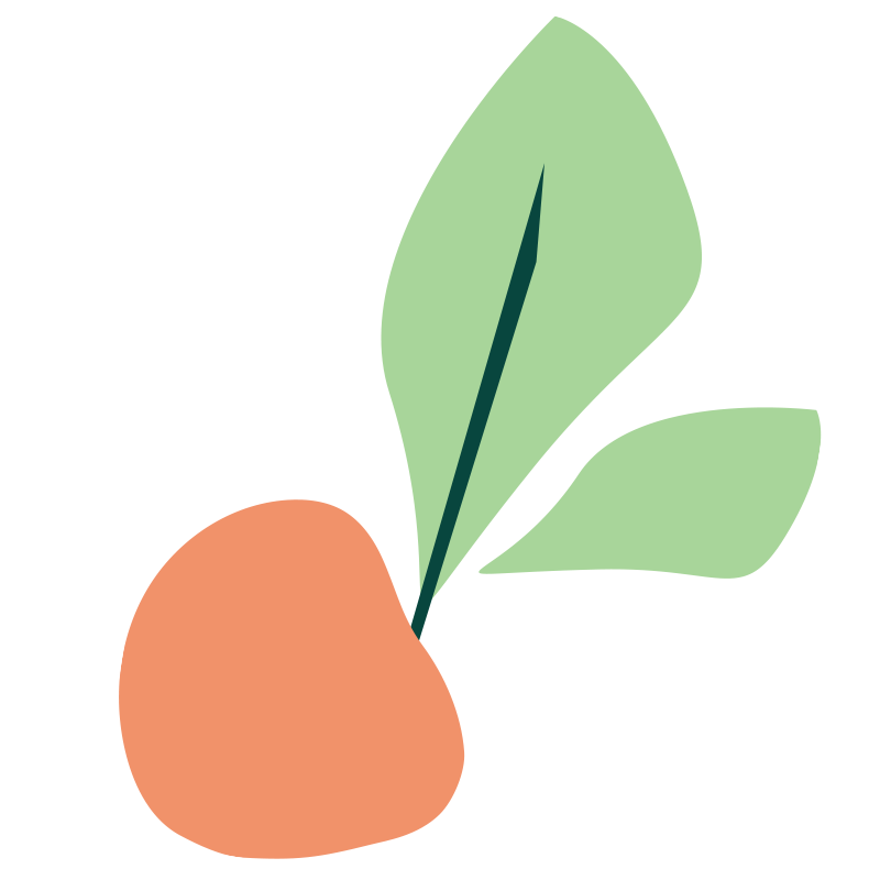 AboutUs-Apricot